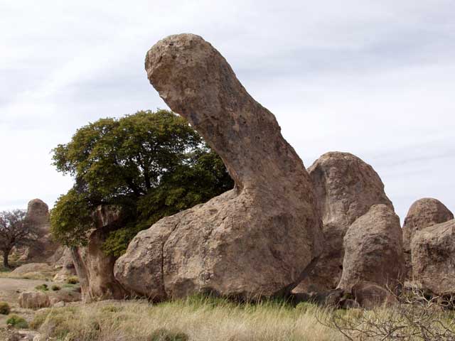City of Rocks State Park 2005 NM006