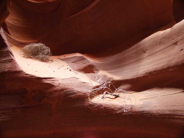 Antelope Canyon 2005 AZ006